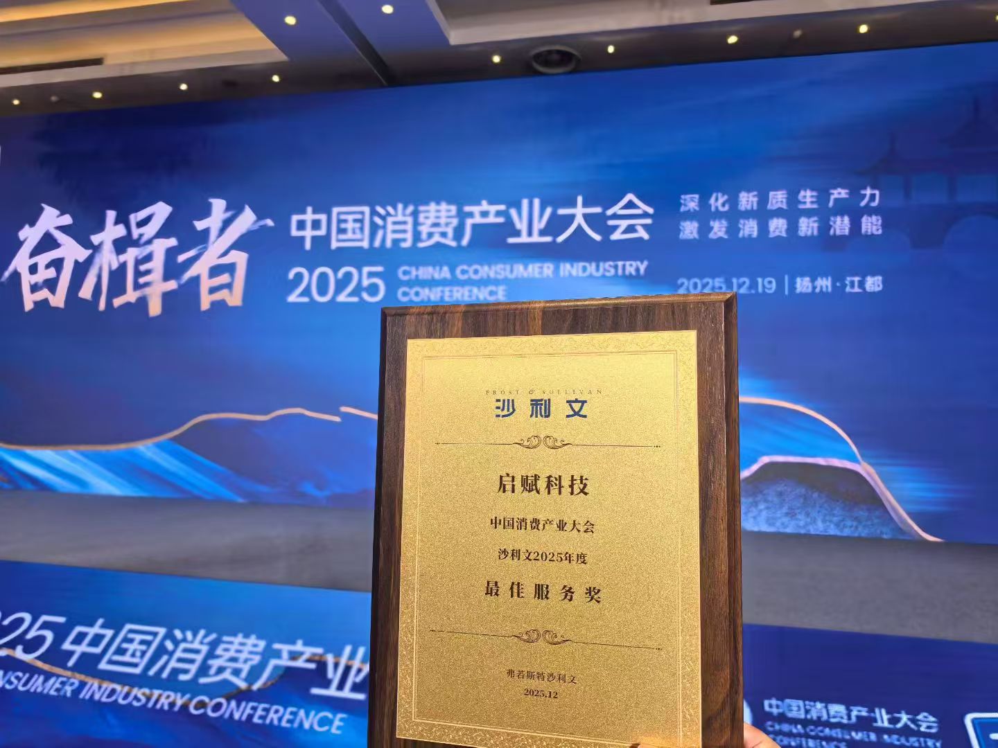 弗若斯特沙利文 2025 中国消费产业最佳服务奖